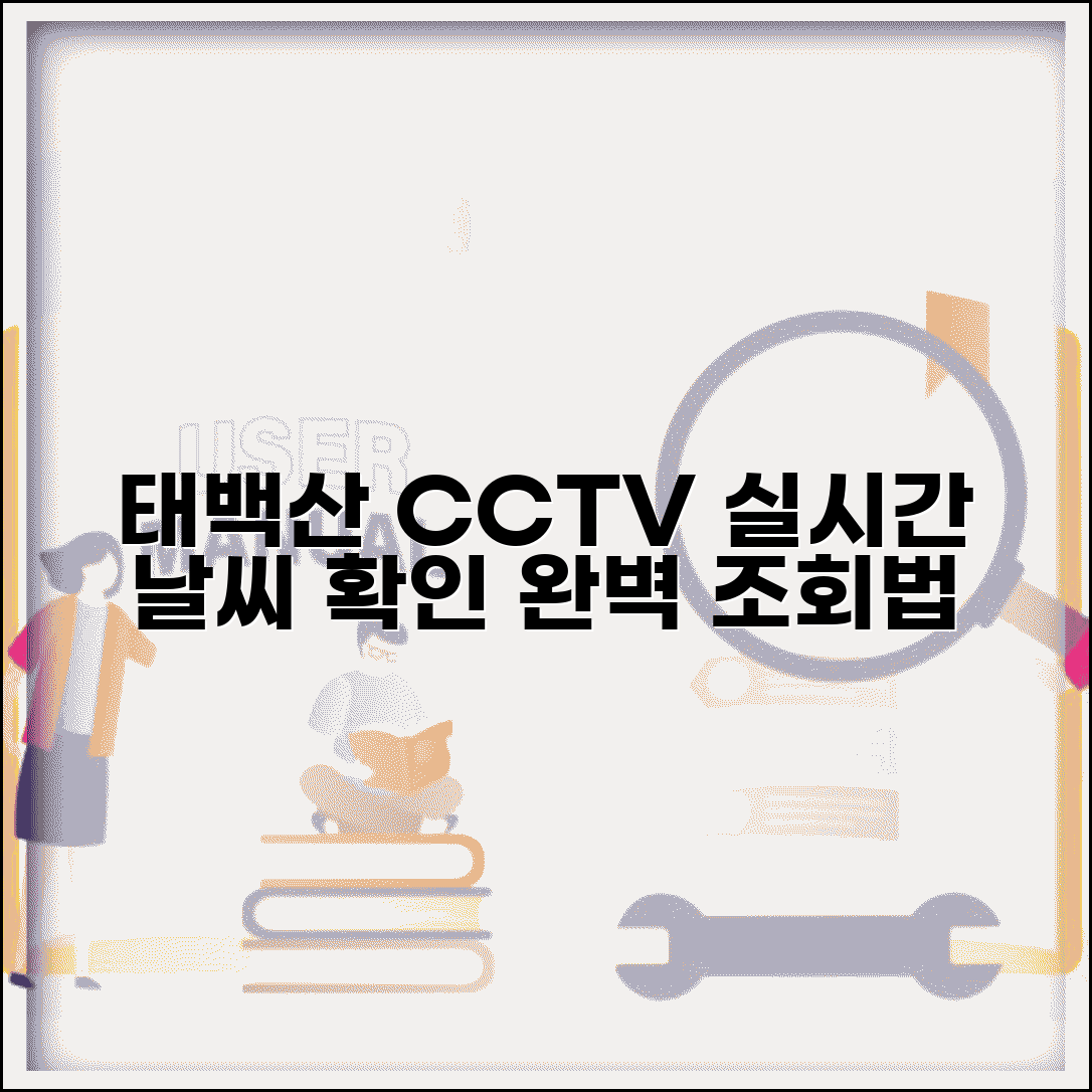 태백산 실시간 cctv 산악 날씨 확인 | 태백산 실시간 CCTV 완벽 조회법