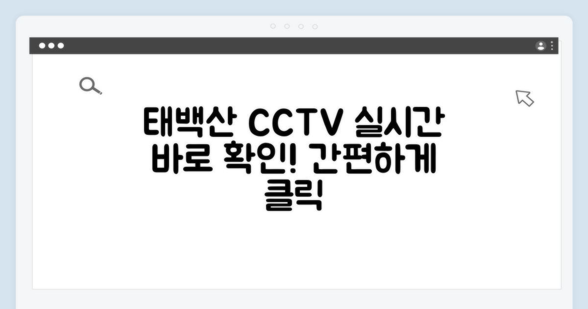 태백산 cctv 바로 확인 방법