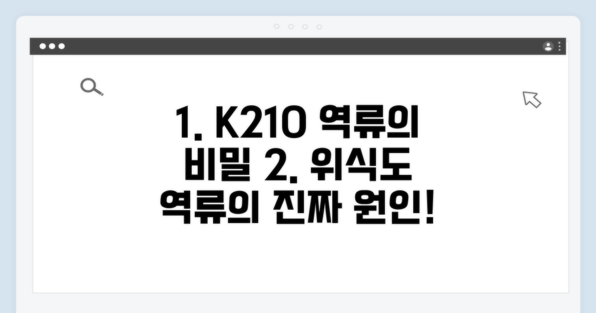 K210 위식도 역류질환 핵심 원인