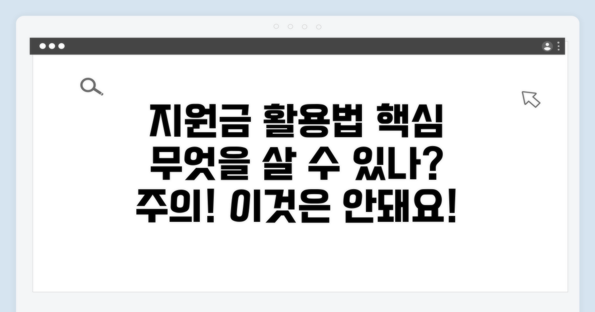 지원금 사용처와 제한 사항