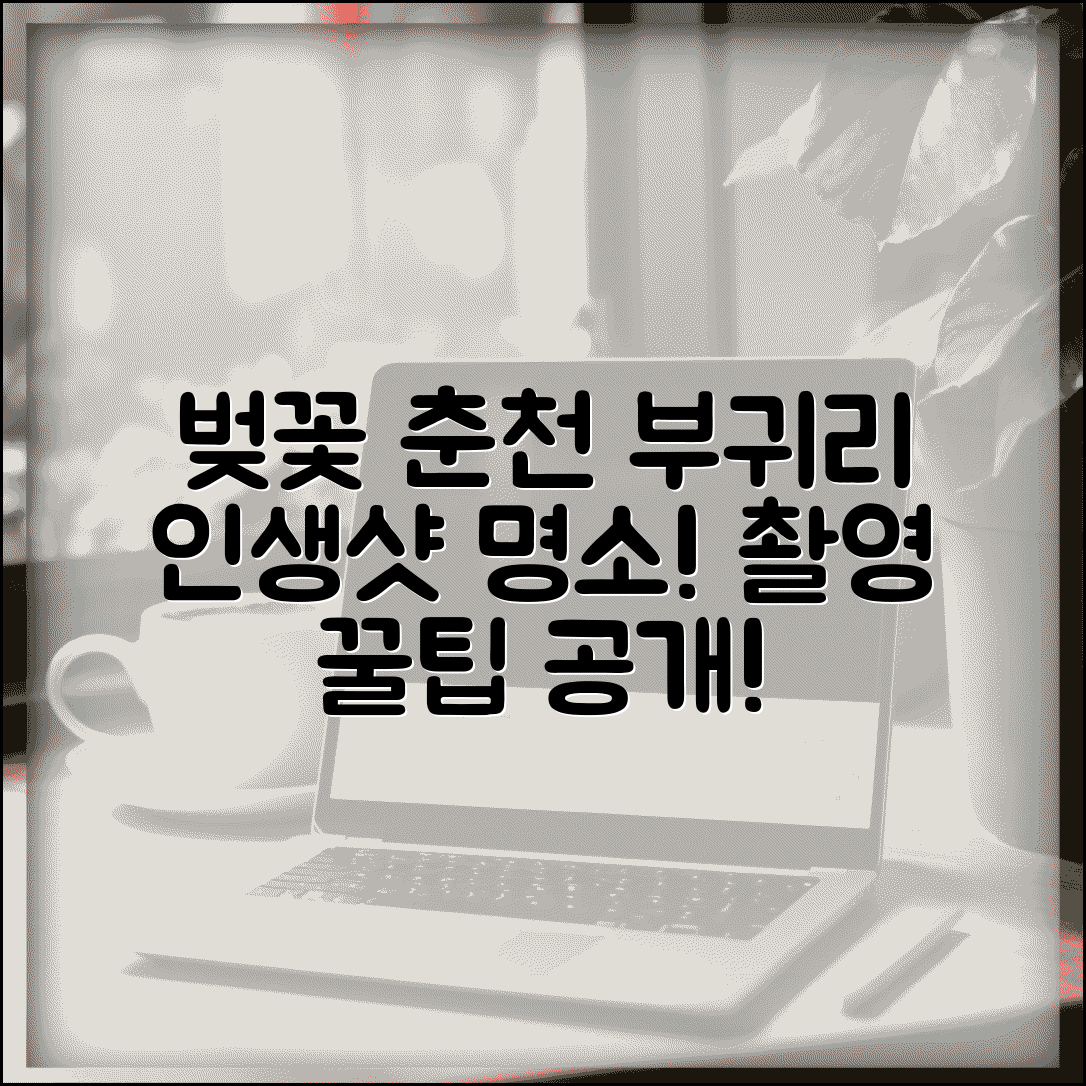 춘천 부귀리 벚꽃 명소 안내 | 인생샷 포인트와 촬영 팁
