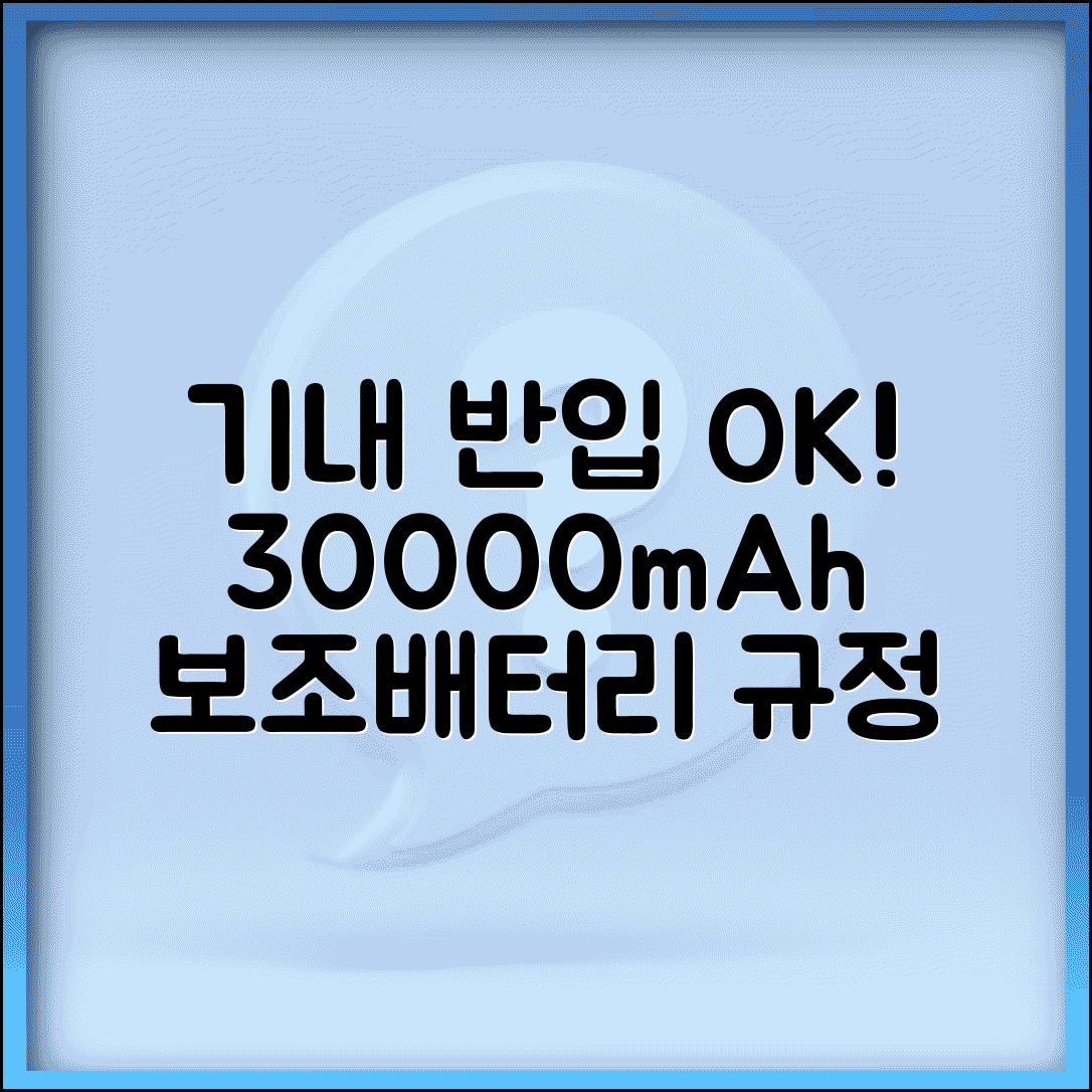 비행기 보조배터리 30000mAh 반입 규정 | 대용량 배터리 지침