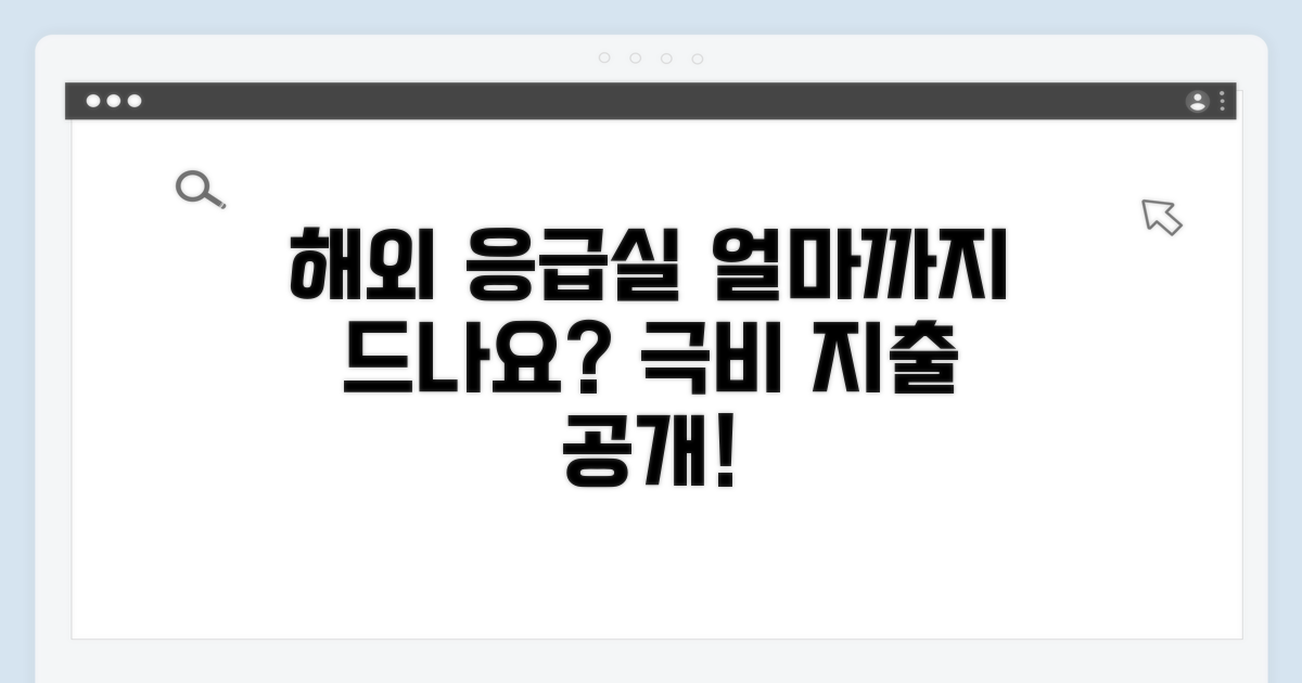 해외 응급실, 얼마까지 드나요?