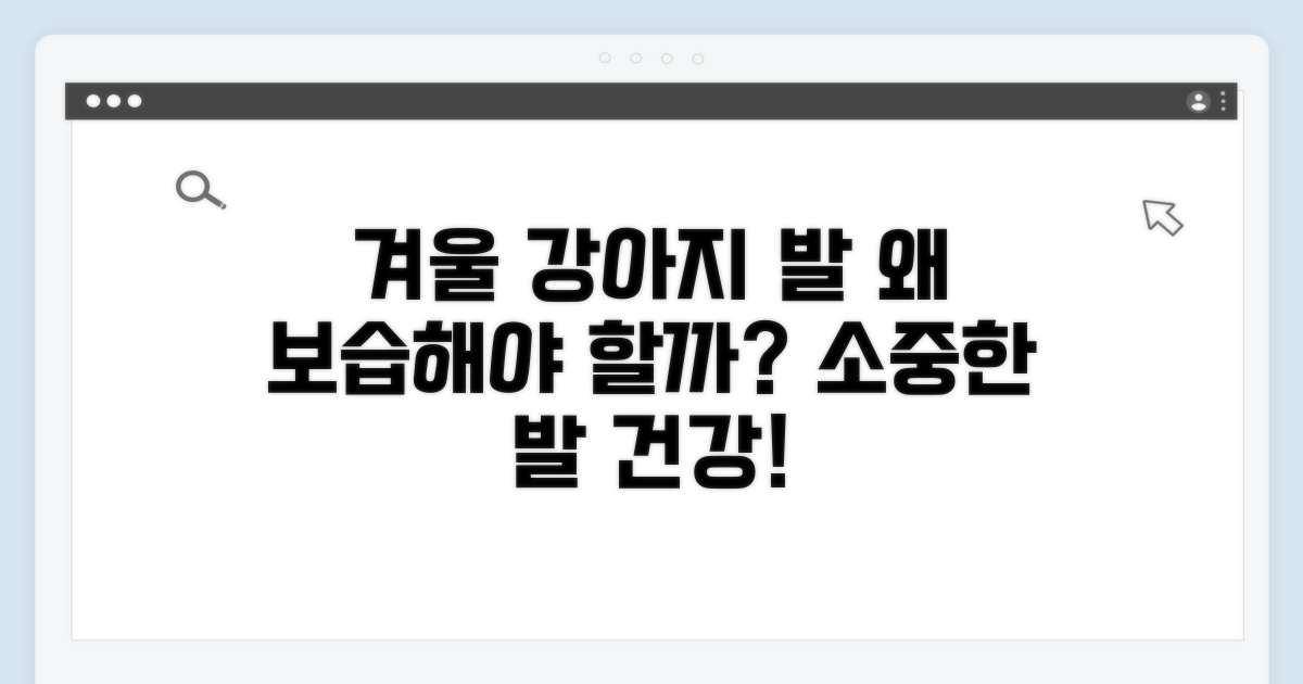 겨울 강아지 발 보습, 왜 필요할까?