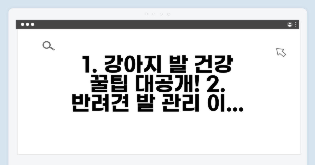 우리 강아지 발 건강 지키는 꿀팁