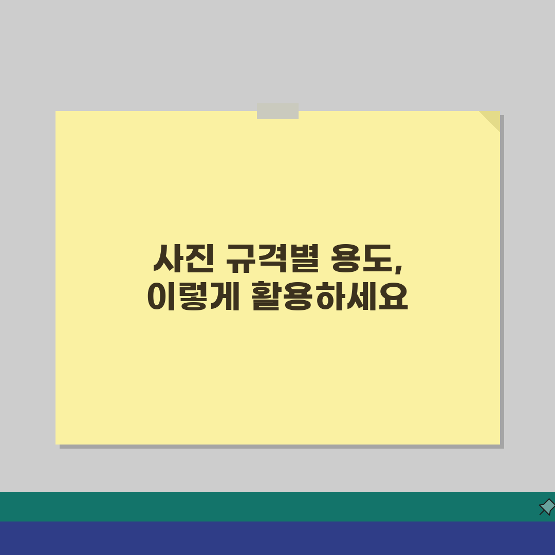 증명사진 규격표 크기별 용도 | 여권 주민등록증 사진 규격 꿀팁 공유해요!