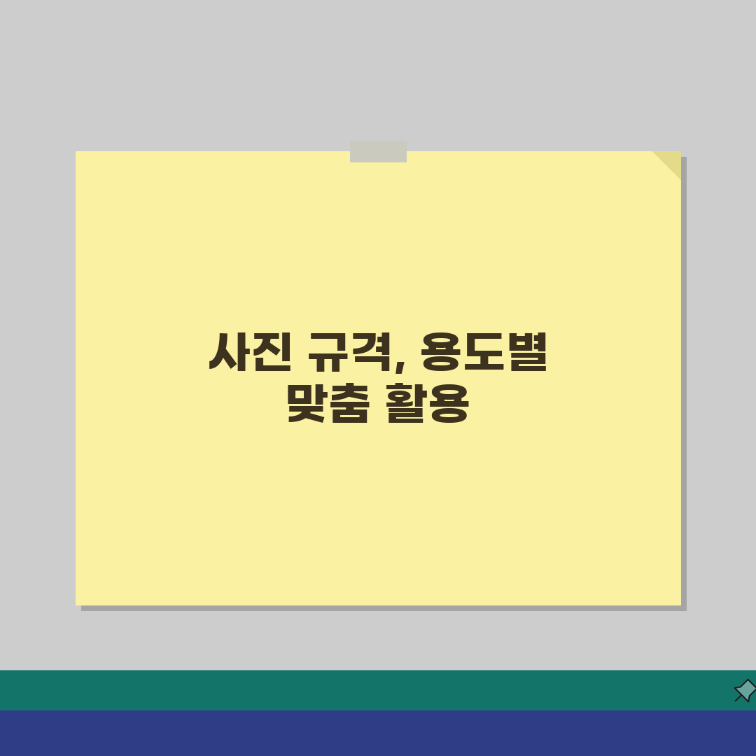 증명사진 규격표 크기별 용도 | 여권 주민등록증 사진 규격 꿀팁 공유해요!
