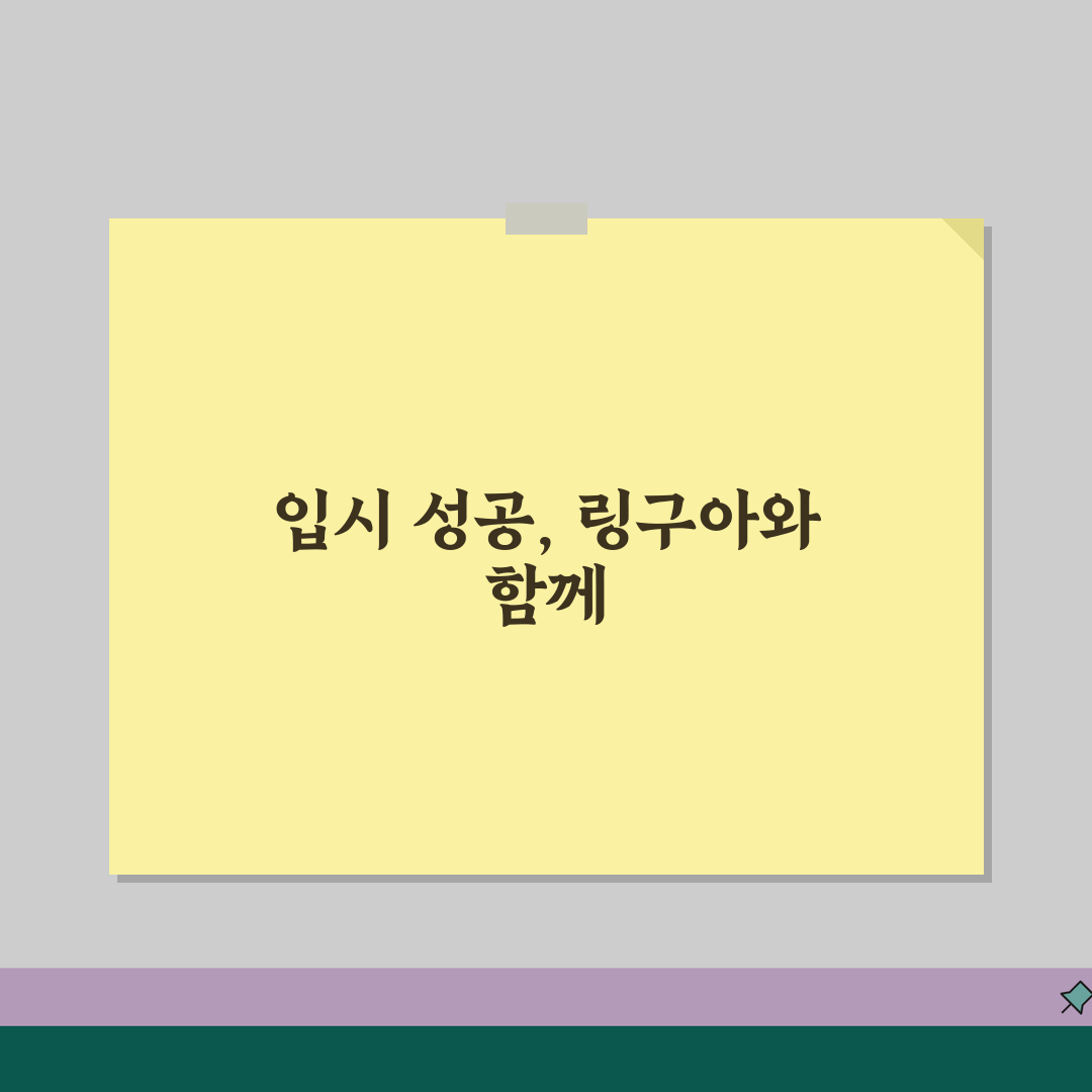 링구아진학진로컨설팅학원 등록비, 진학 컨설팅, 입시 전략, 맞춤형 프로그램, 위치, 문의