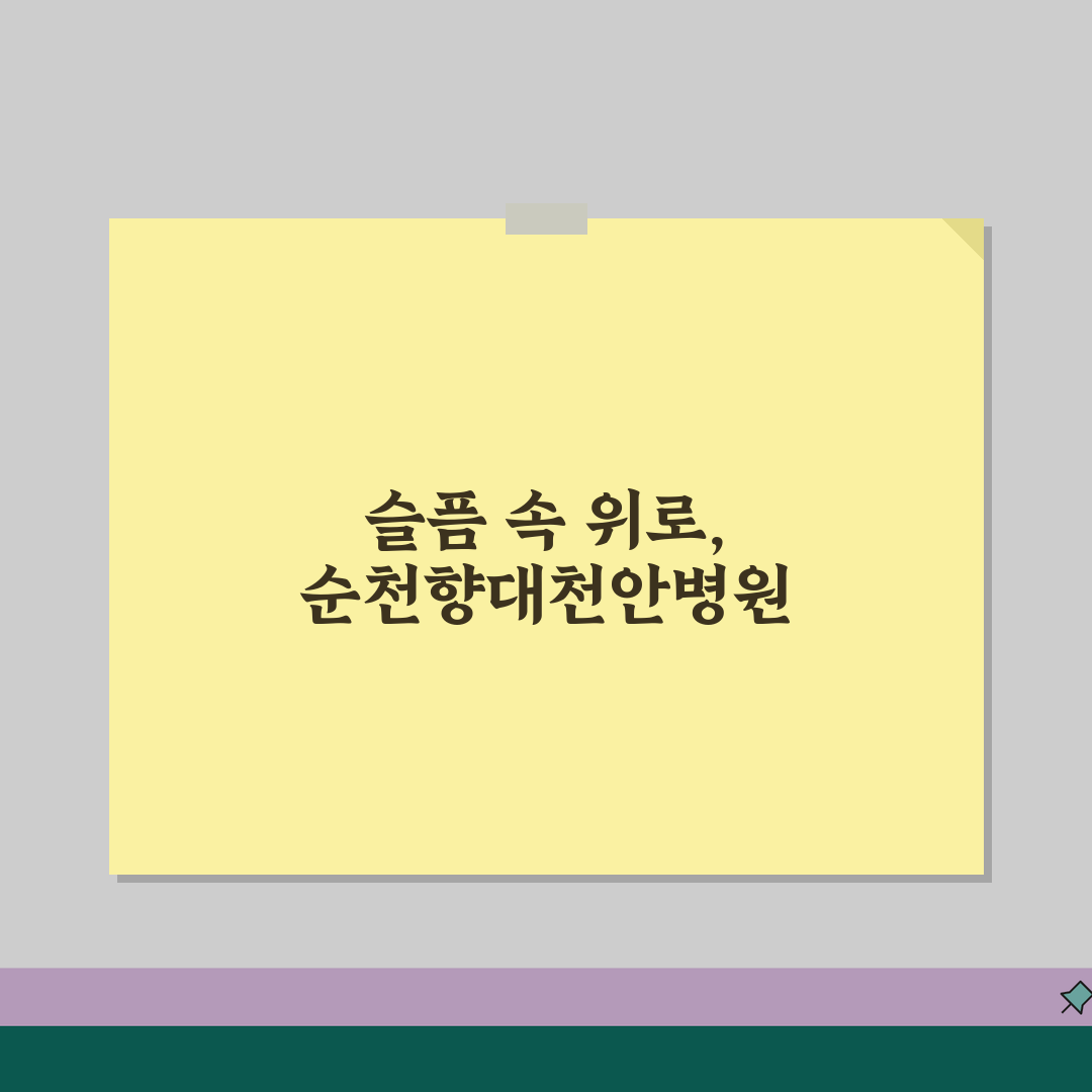 순천향대천안병원 장례식장 가이드 | 시설현황, 비용, 주차 추천!